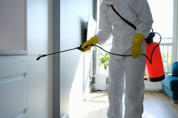 Best Office Mold Removal Services  in Shaw Heights, CO